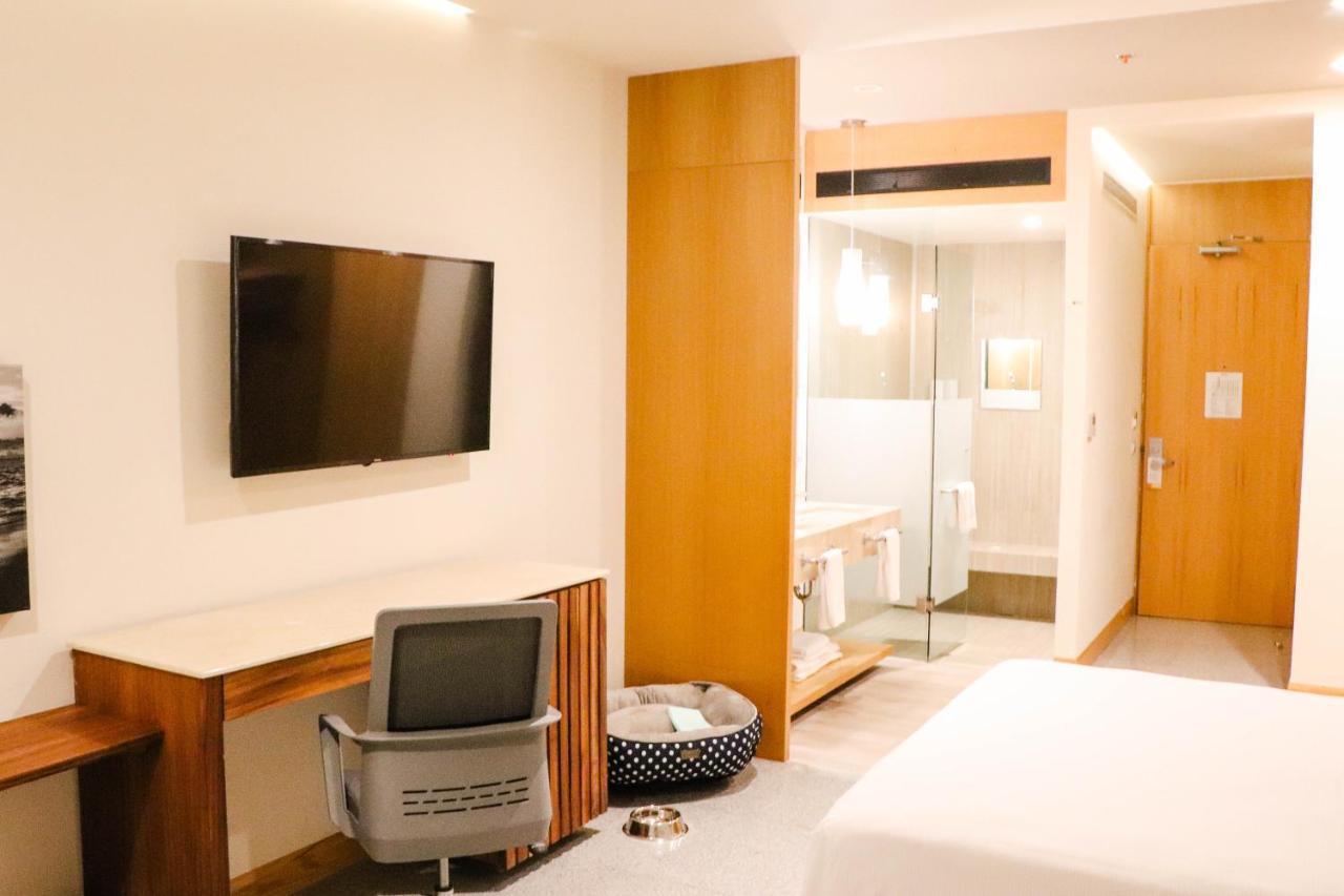 Hotel Mio Vallarta Unique & Different- Adults Only Puerto Vallarta Bagian luar foto A room at the hotel